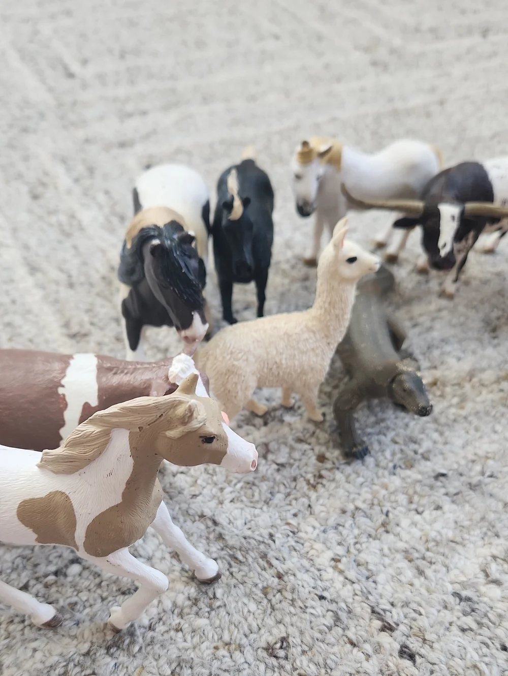 Plastic Horses And Animal